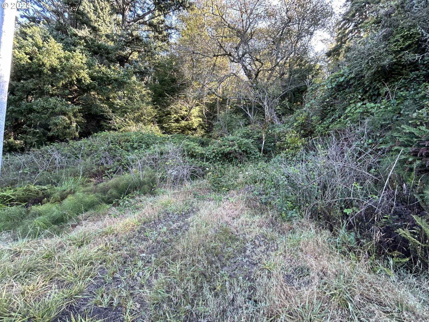 TL 900 Highway 101 N