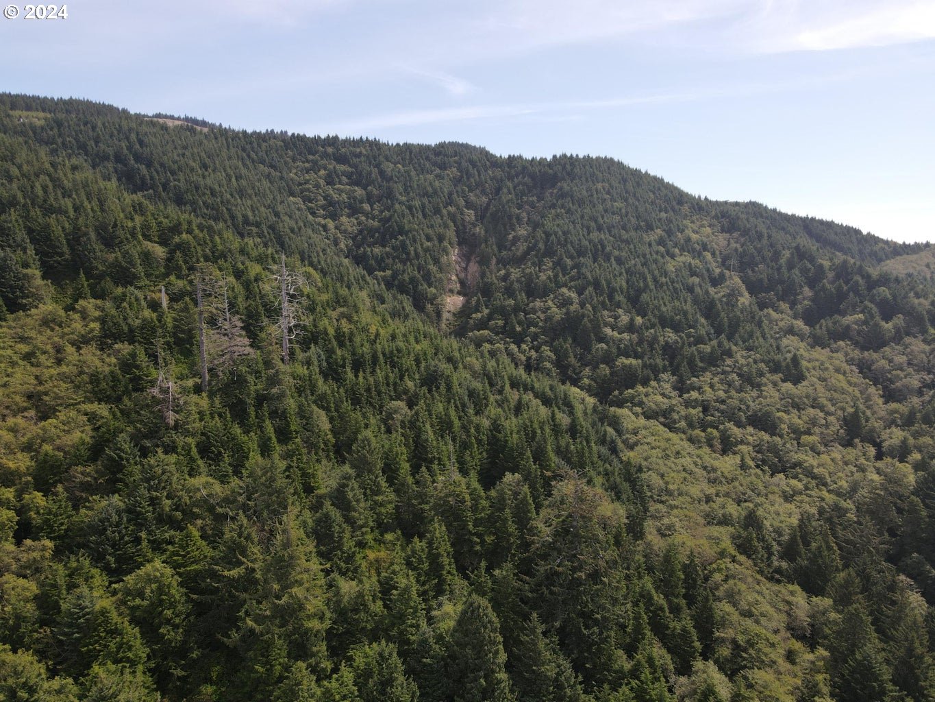 TL 900 Highway 101 N