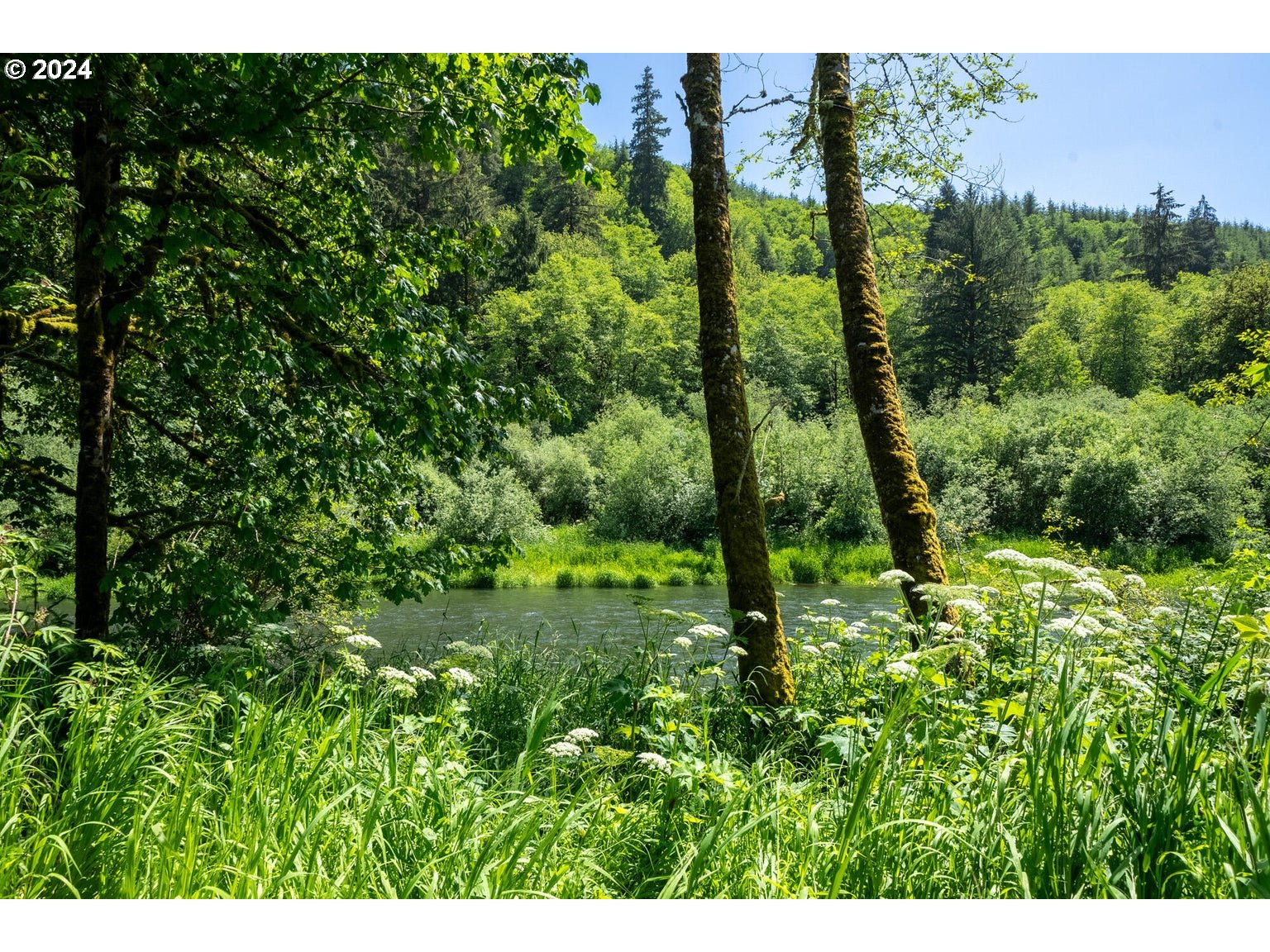 19065 STEELHEAD PL