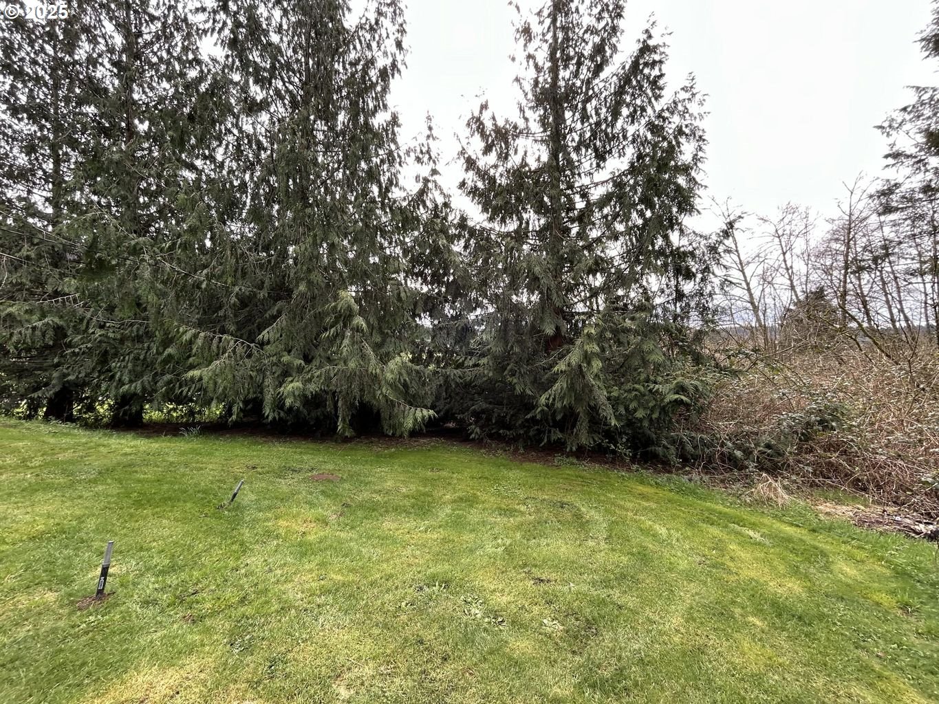 8250 KILCHIS RIVER RD