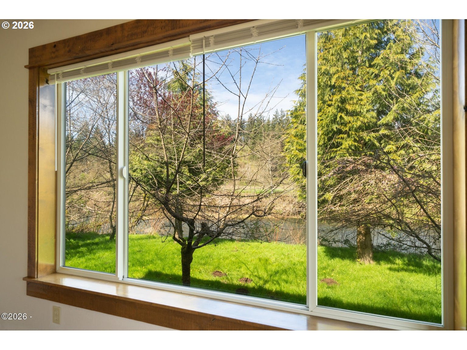 1025 WILSON RIVER LOOP