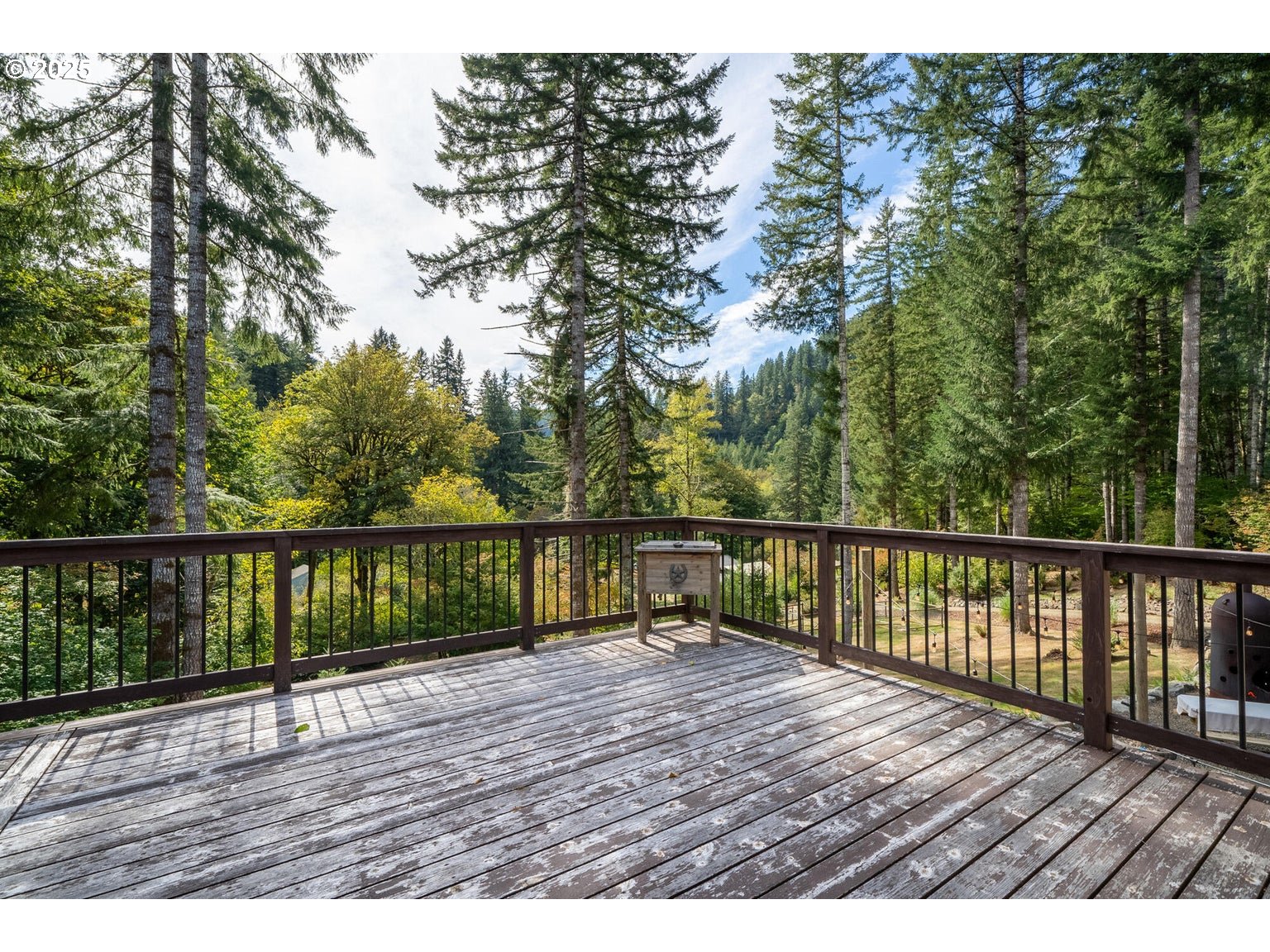 42520 TESTAMENT CREEK RD