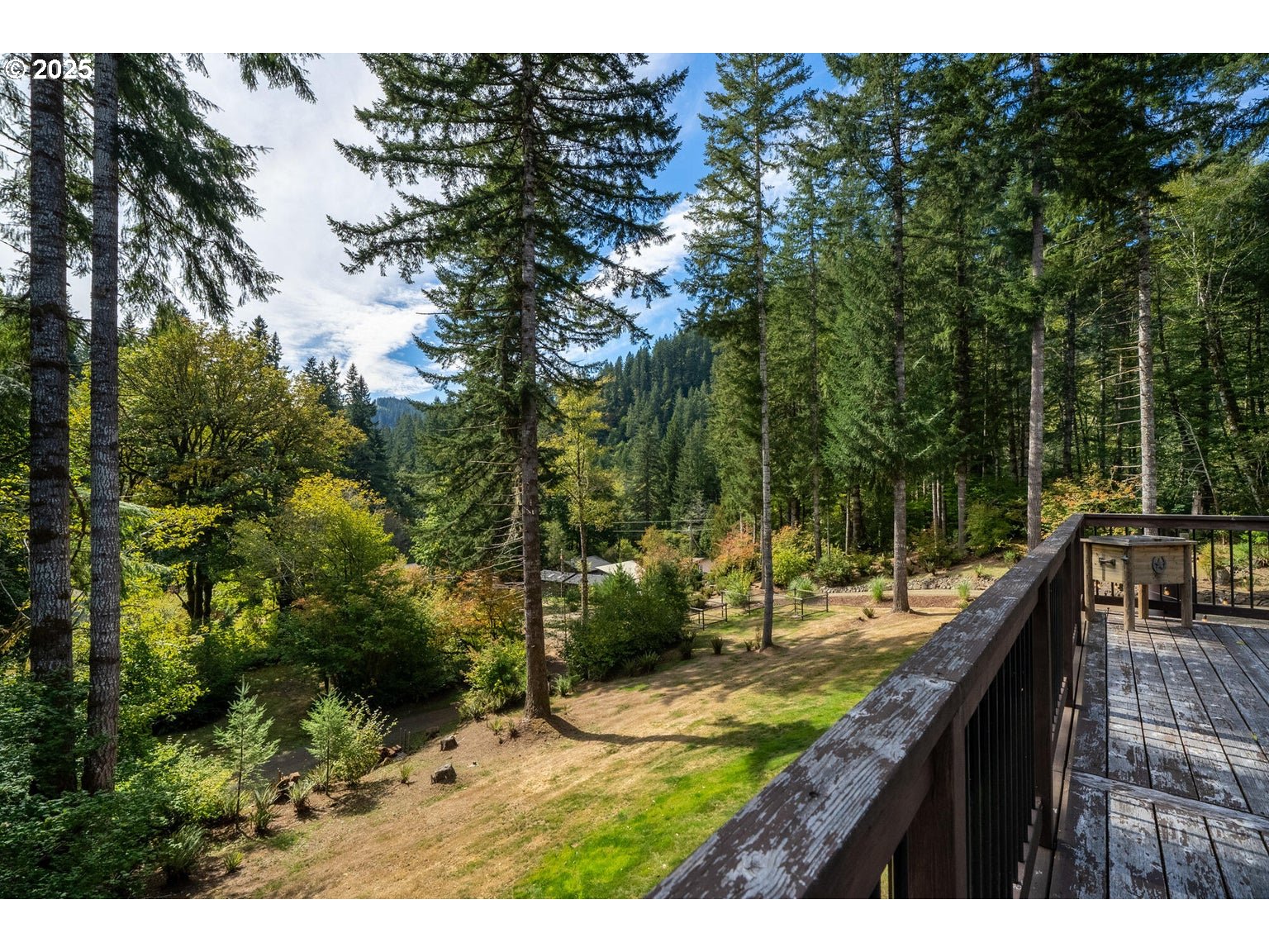 42520 TESTAMENT CREEK RD