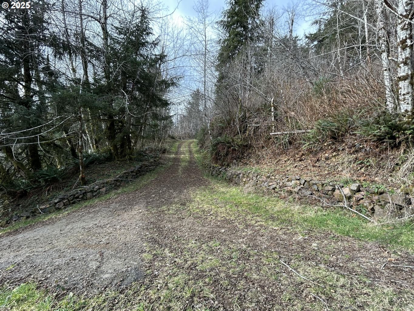 TL202 Lt Nestucca Rr HWY