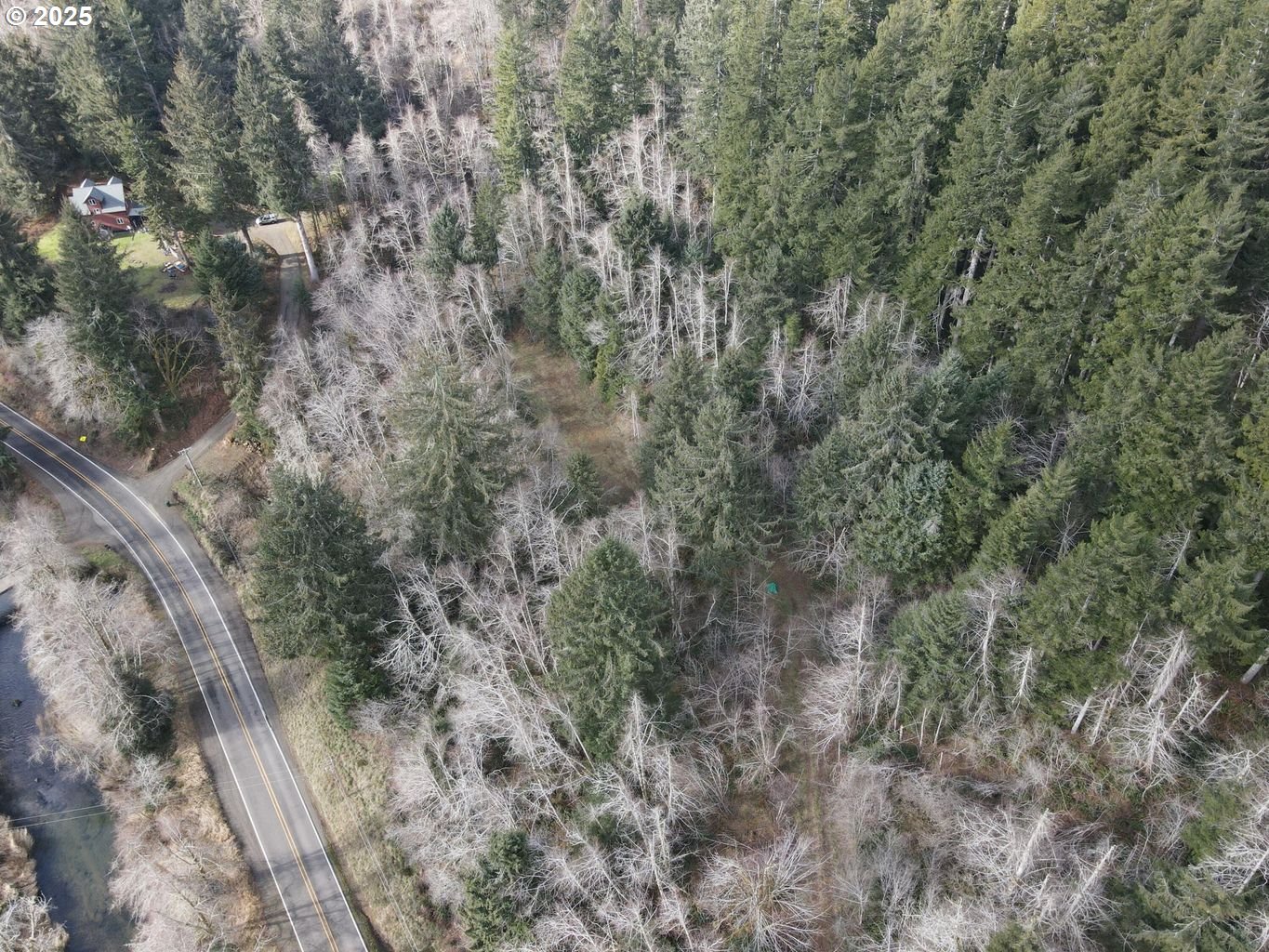 TL202 Lt Nestucca Rr HWY