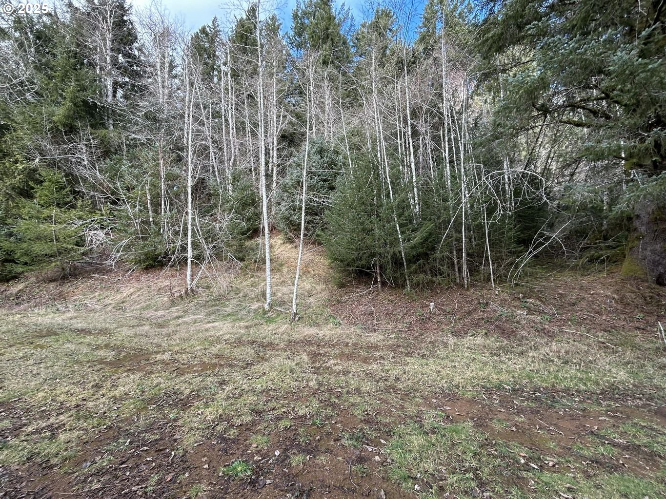 TL202 Lt Nestucca Rr HWY