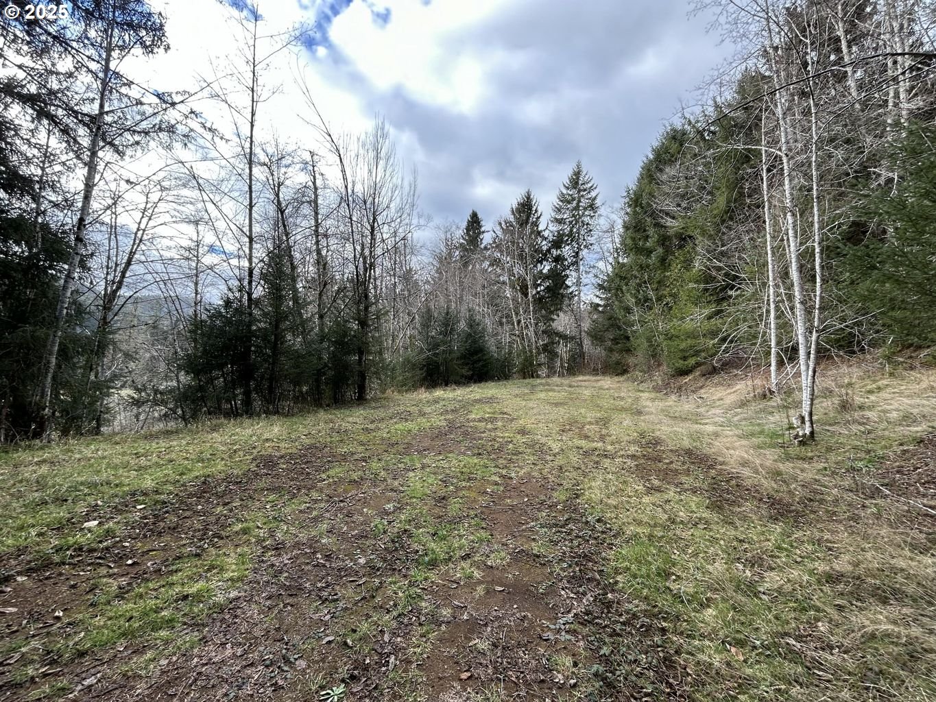 TL202 Lt Nestucca Rr HWY