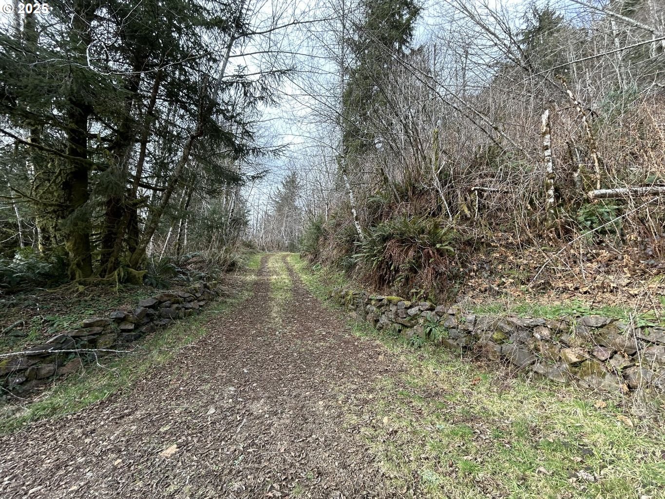 TL202 Lt Nestucca Rr HWY