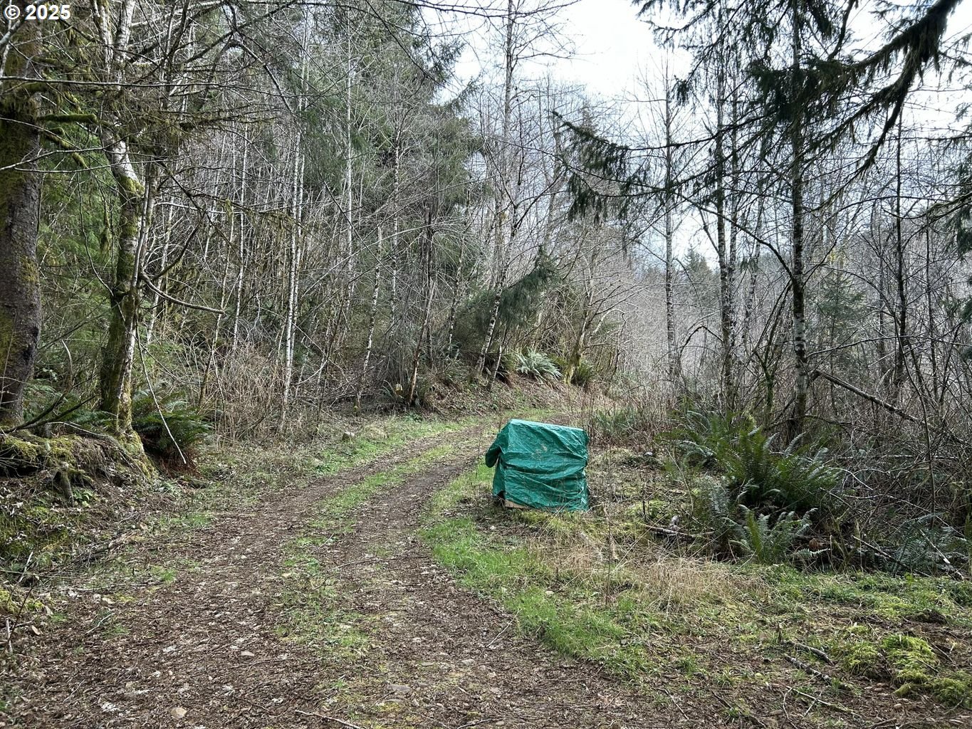 TL202 Lt Nestucca Rr HWY