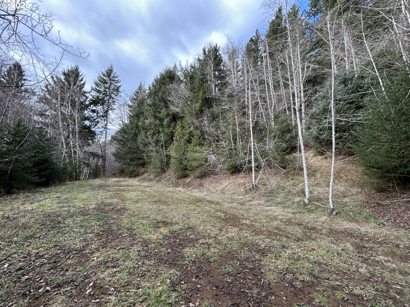 TL202 Lt Nestucca Rr HWY