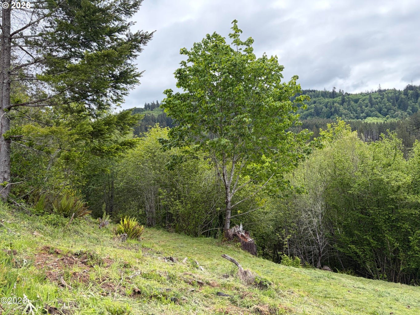 301 UPPER NESTUCCA RIVER RD