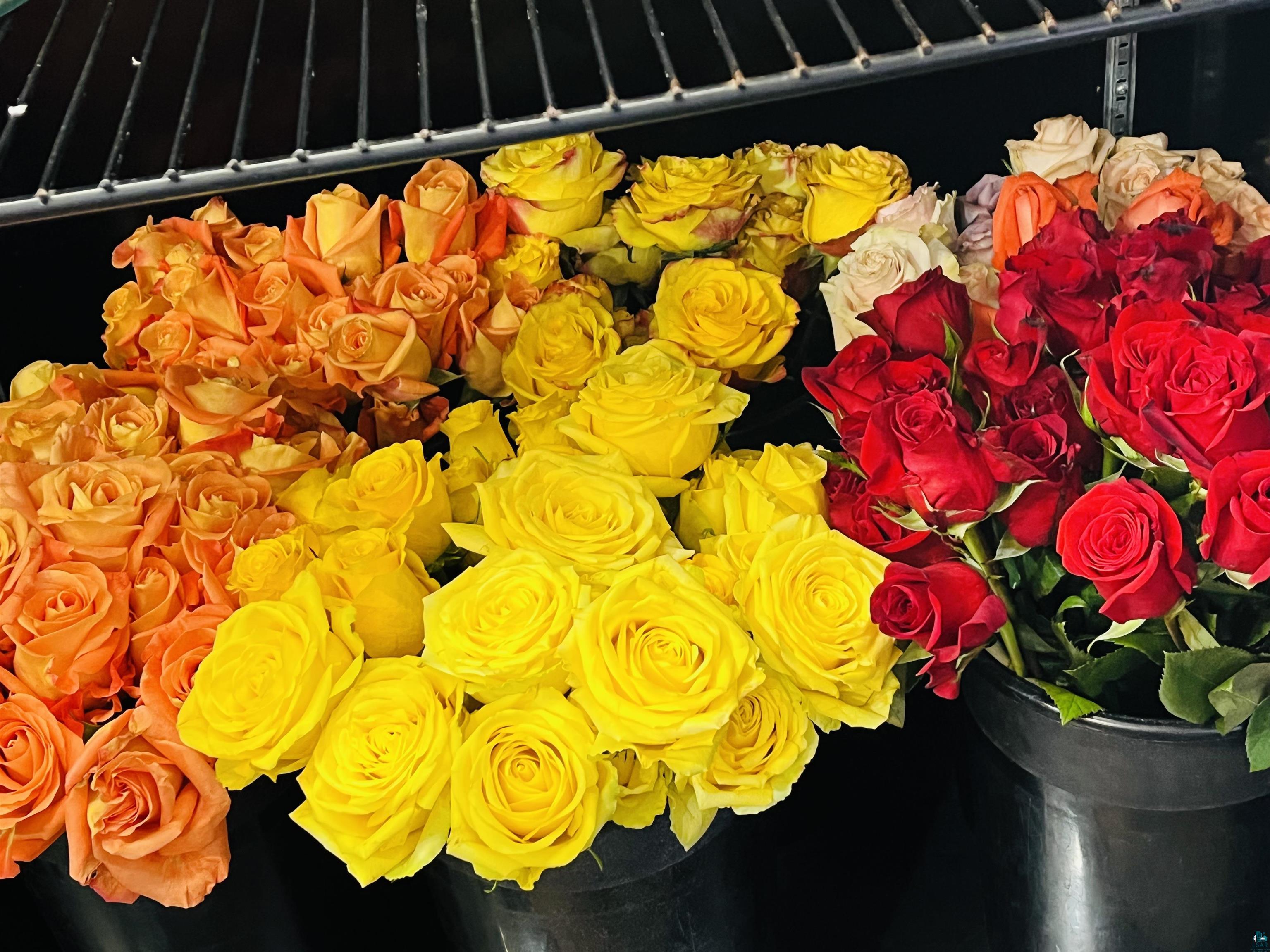 36 W Central Entrance Unit: The Rose Man Rose and Floral Shop Business Only