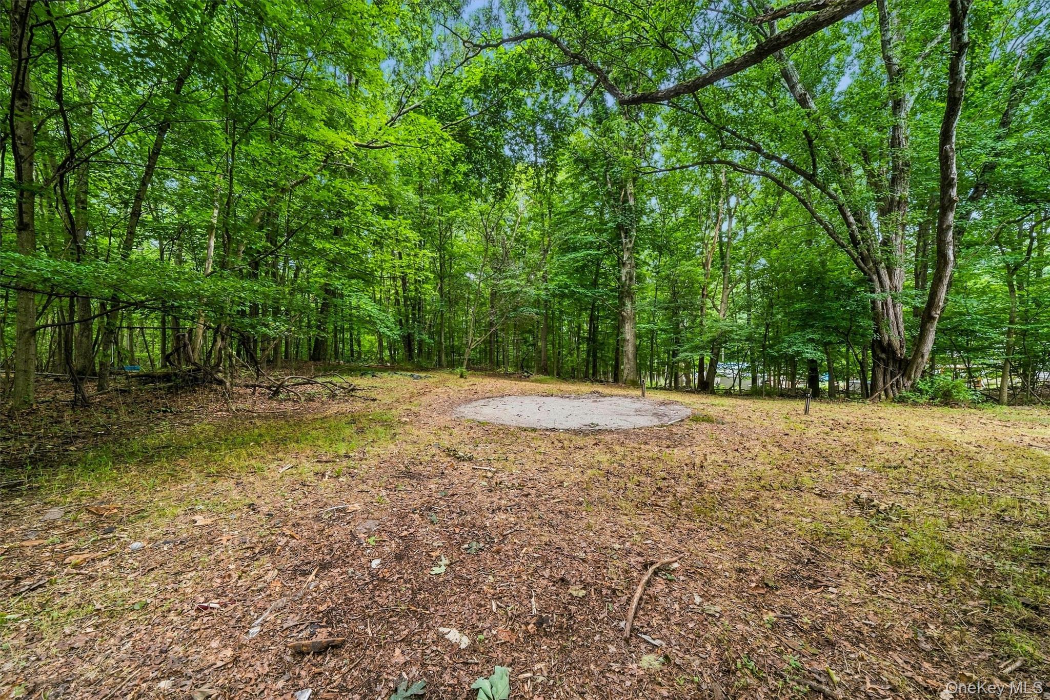 804 S Plank Road