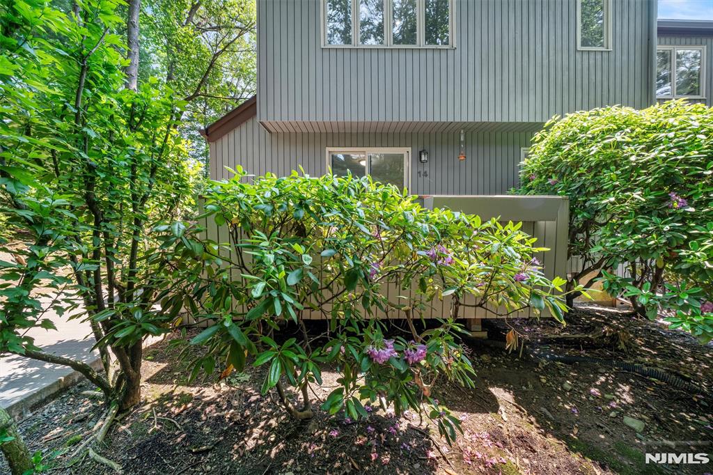 14 Bayard Lane