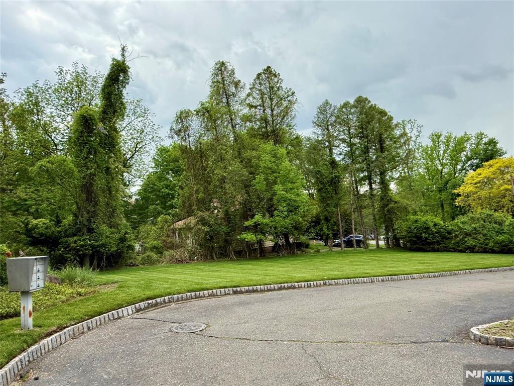 146 Garside Avenue 5