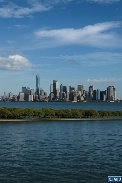 207 Shearwater Court 14