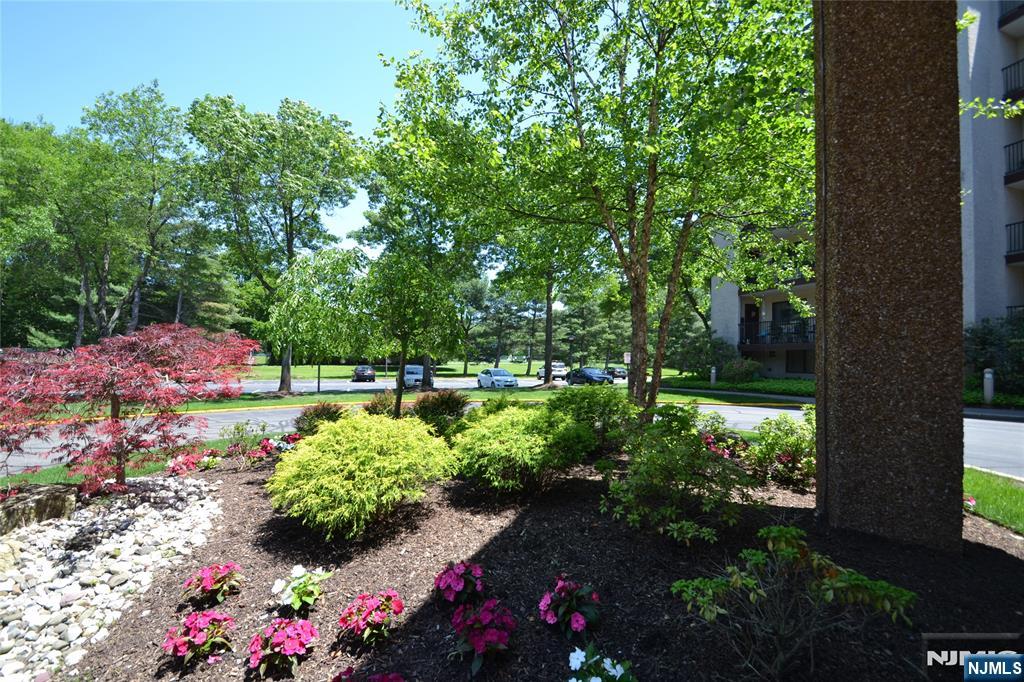 521 Piermont Avenue 428A