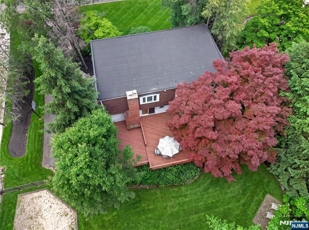 559 Wayne Drive