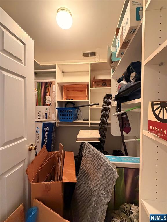 35 Quail 35