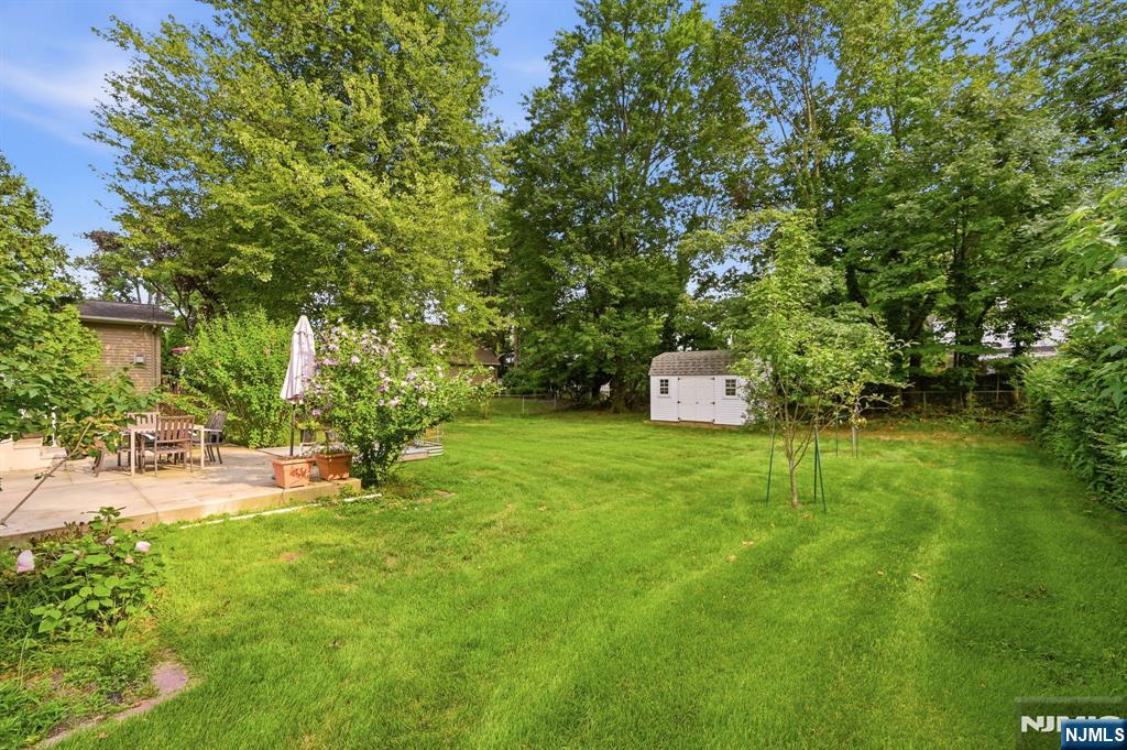 243 Woodland Avenue