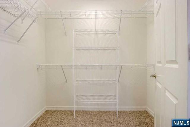 55 E Emerson Plaza 203