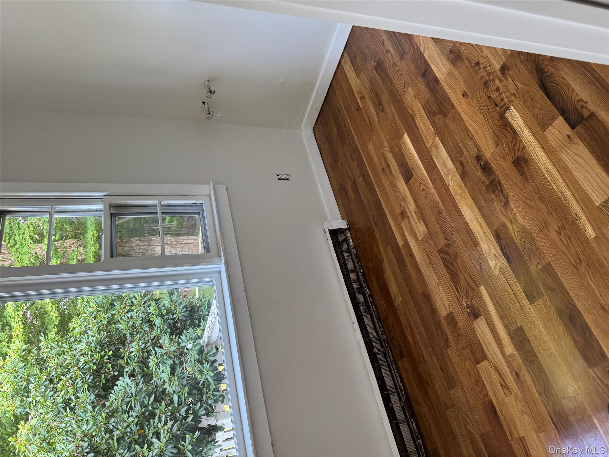 19 Richmond Avenue Unit: 1