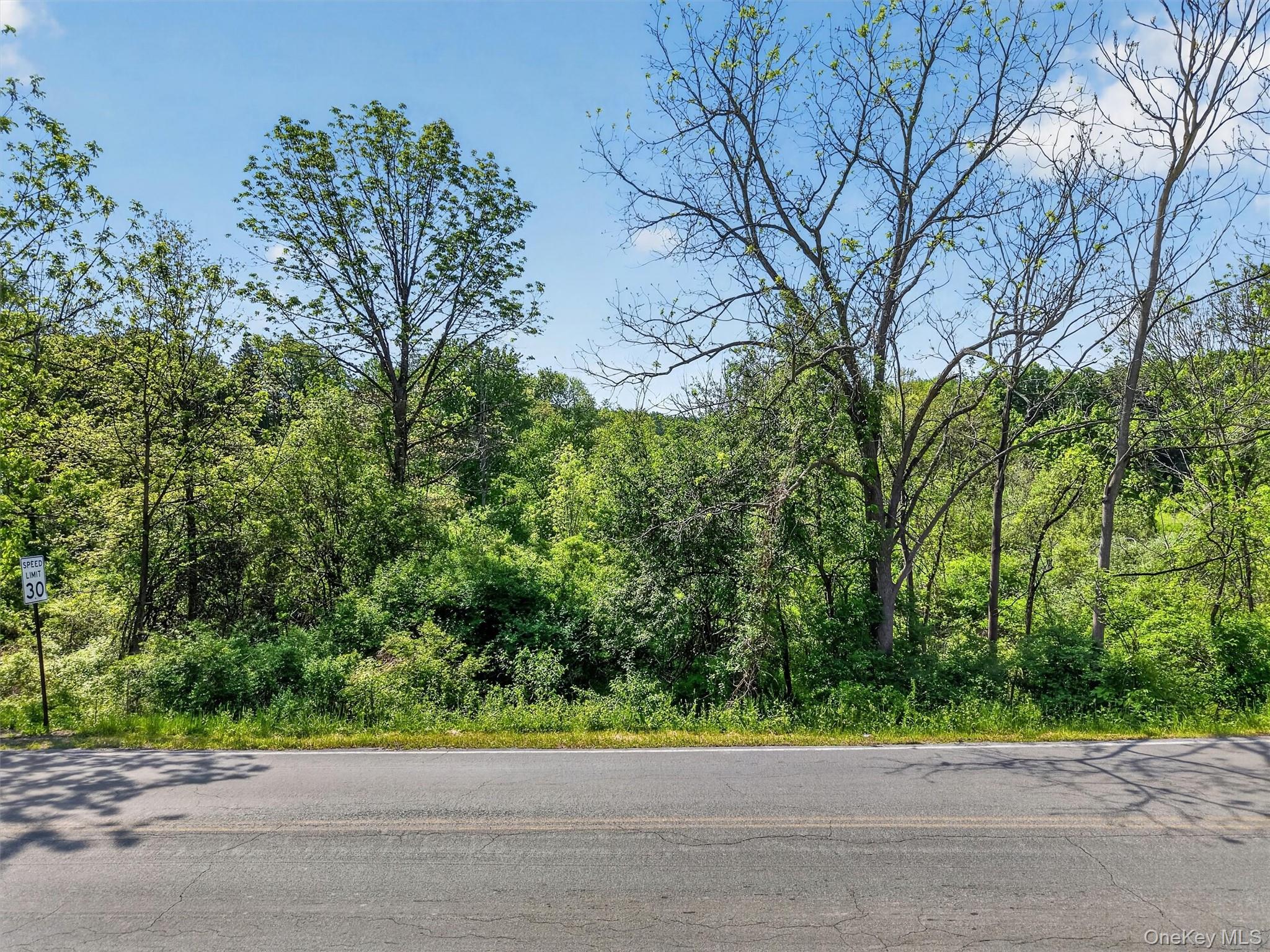 Moore's Hill Road