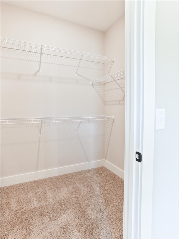 545 CEDARBROOK DRIVE