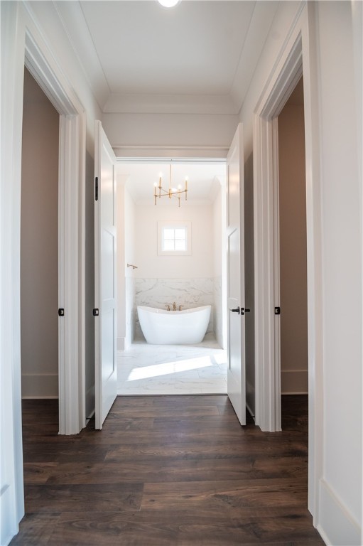 816 SUMMERLIN CIRCLE