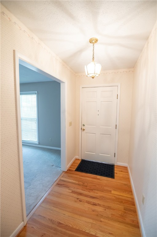 204 TIMBERDALE COURT