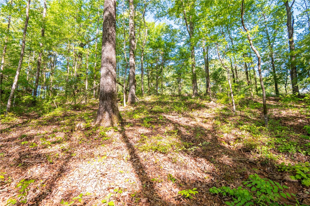 1818 SHADOW BEND LANE