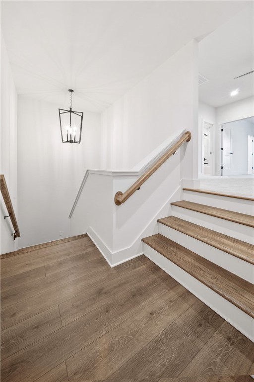 804 SUMMERLIN CIRCLE