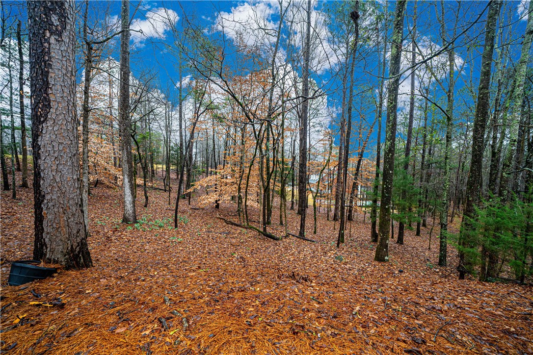 511 HAMILTON HILLS DRIVE