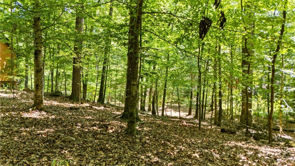 711 OAK KNOLL CIRCLE