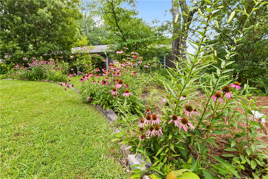 317 WINDSOR DRIVE