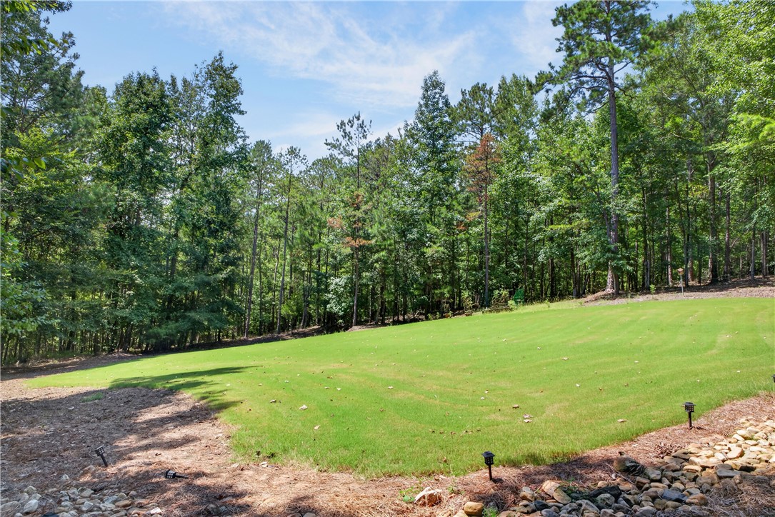 4799 LEE ROAD 66 N/A