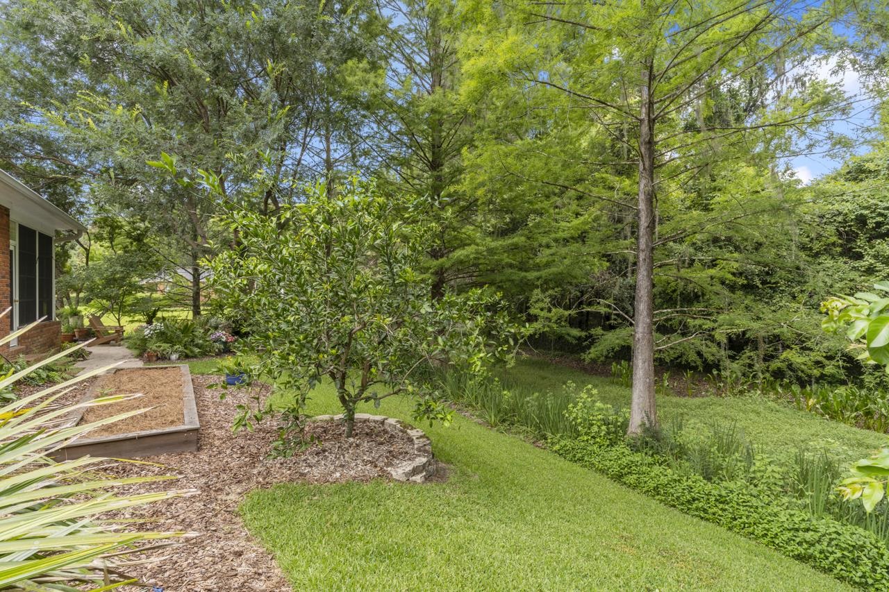 374 Rob Roy Trail