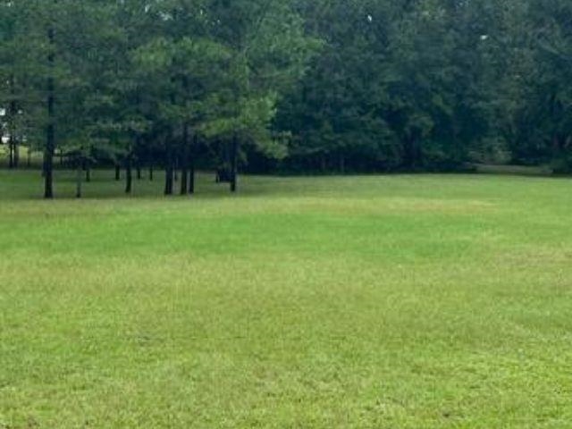 Lot 10 Bird Dog Point