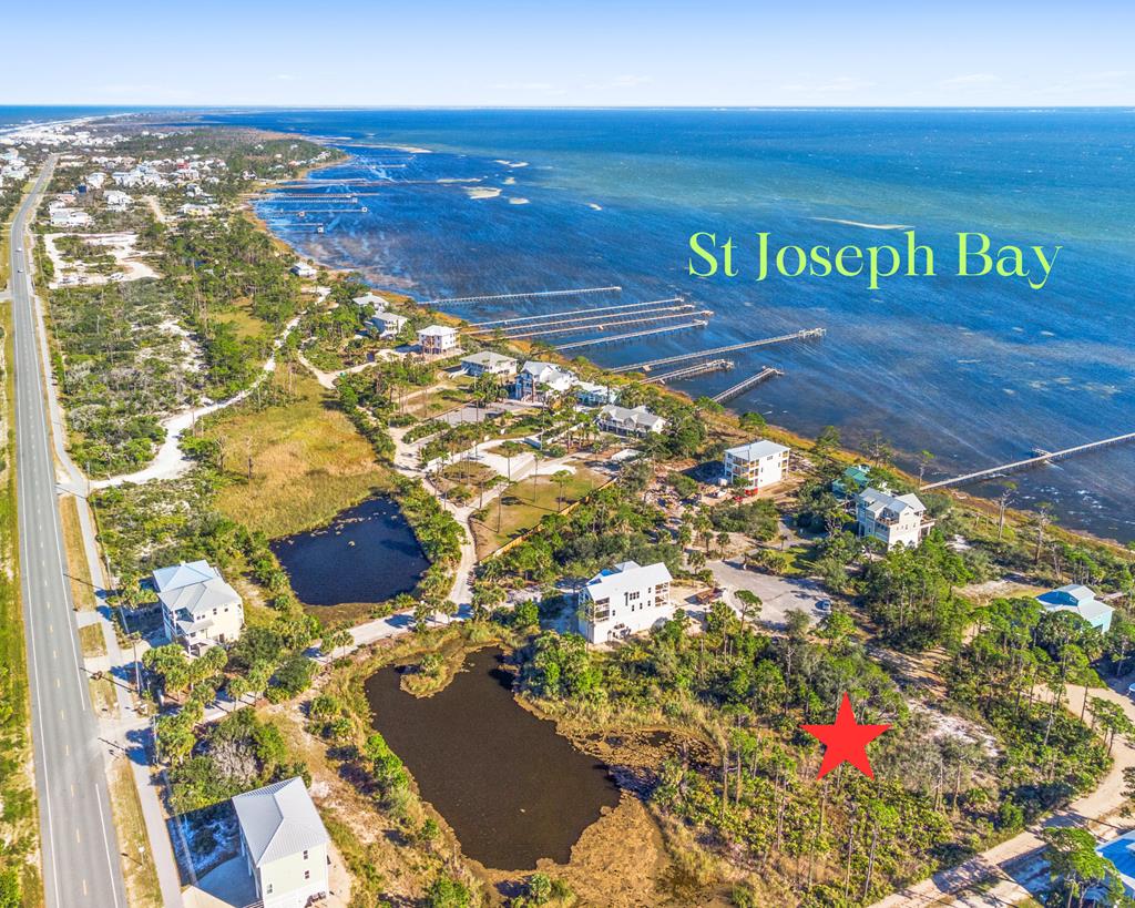 209 Bay Hibiscus Dr, 32456