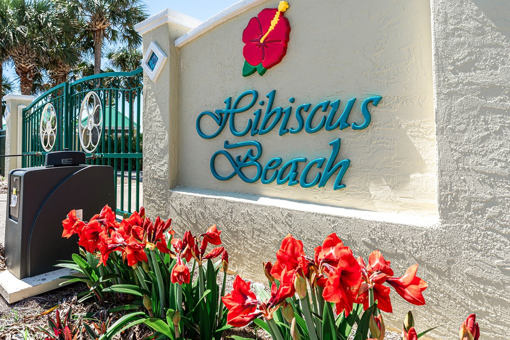 209 Bay Hibiscus Dr, 32456