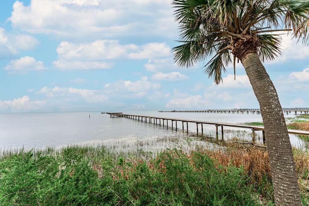 209 Bay Hibiscus Dr, 32456