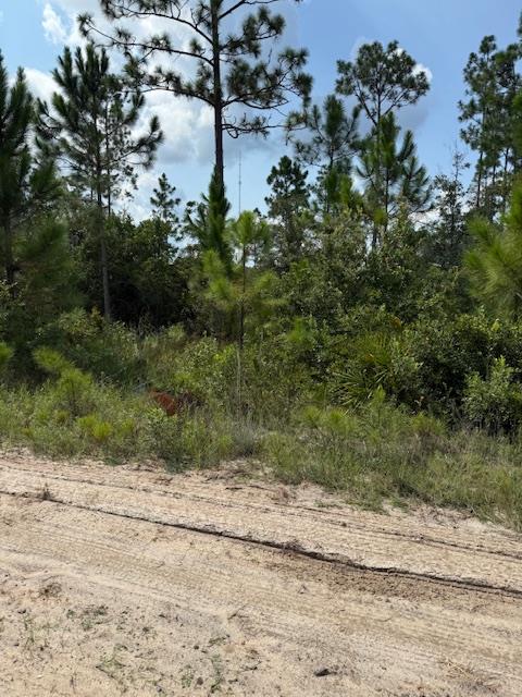 Lot 3 Chellsey St, 32465