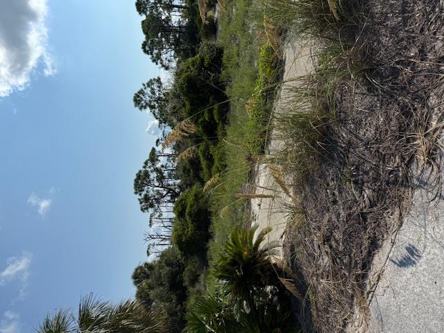 0 Cape San Blas Rd