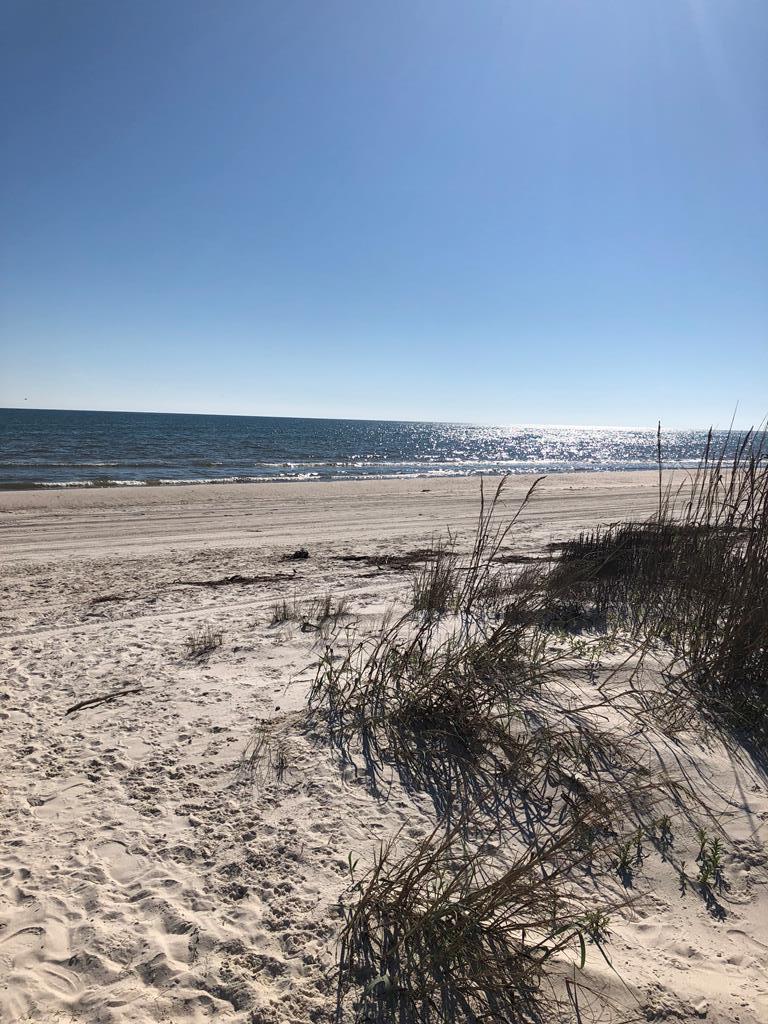 Lot 12 Seagrass Cir, 32456