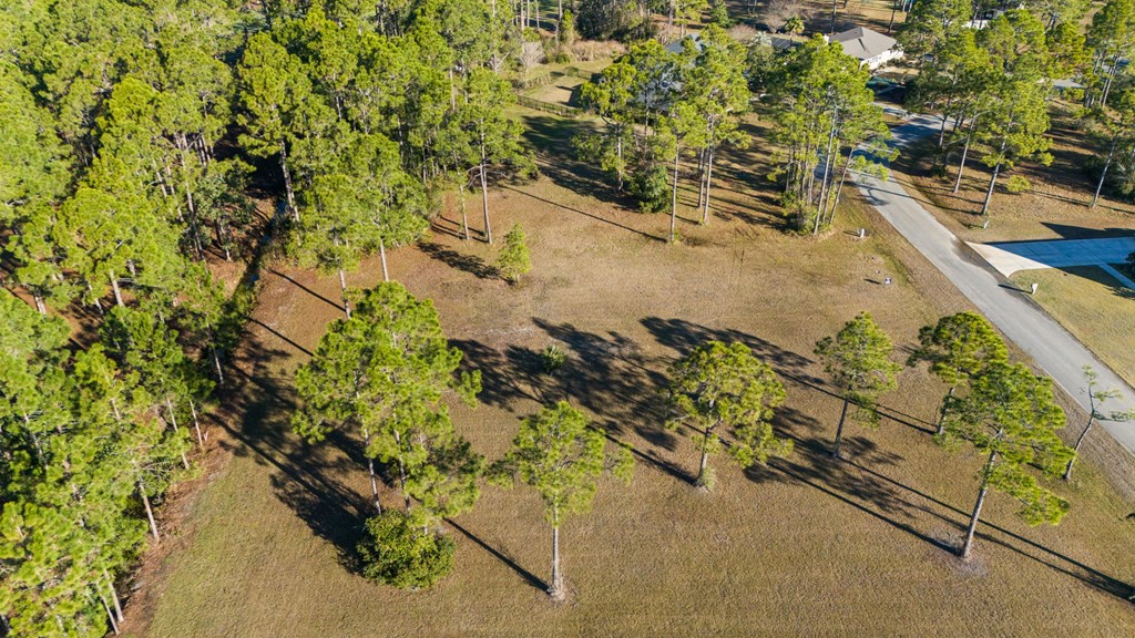 729 Plantation Dr, Port St. Joe 32456