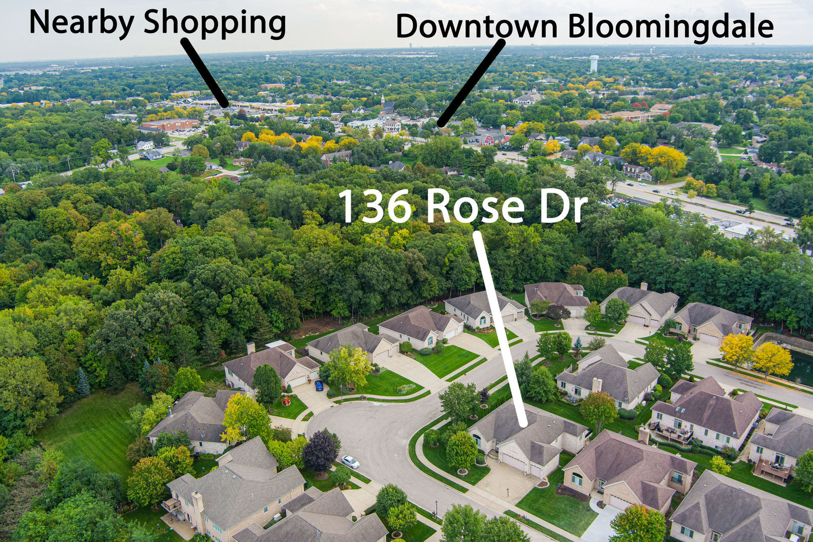 136 Rose Drive
