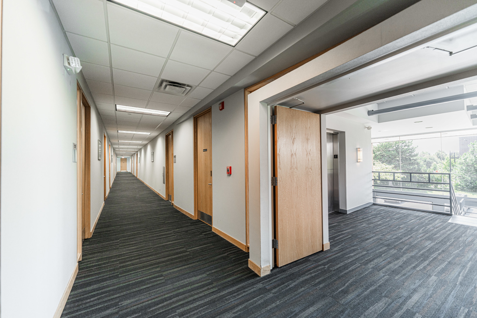 290 Springfield Drive