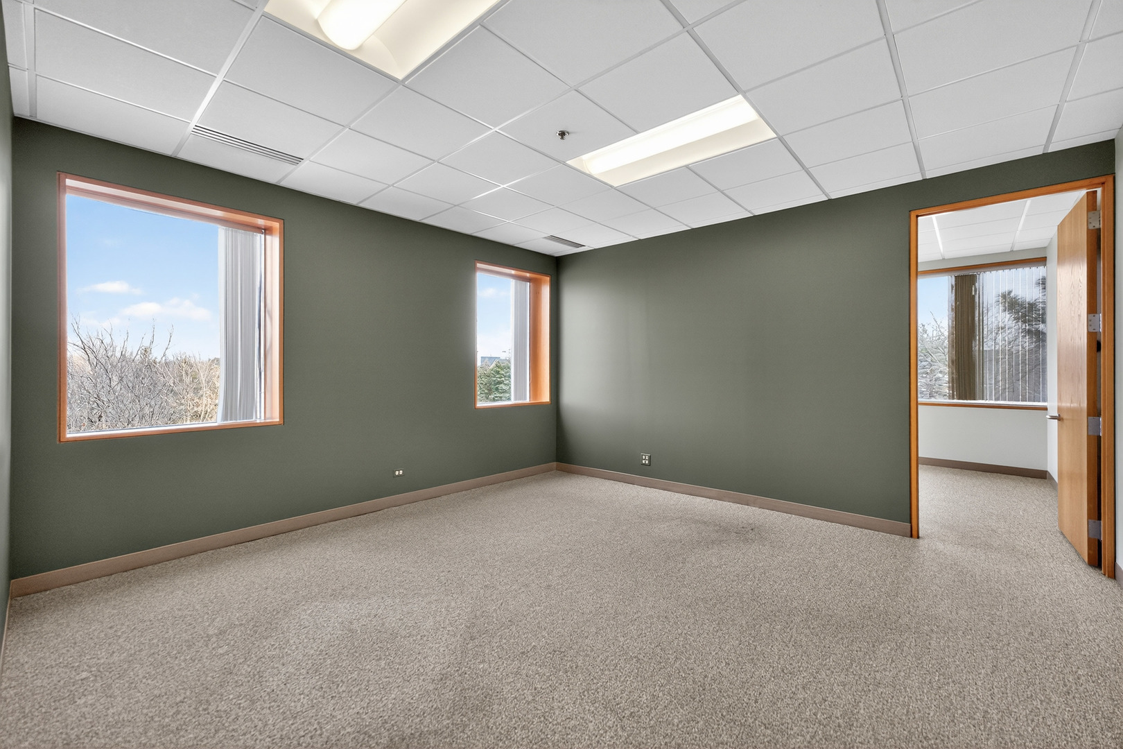 290 Springfield Drive