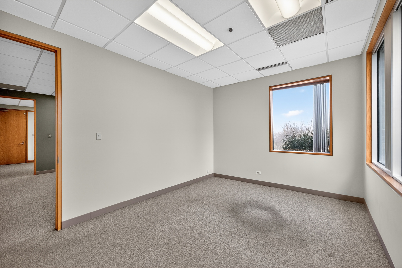 290 Springfield Drive