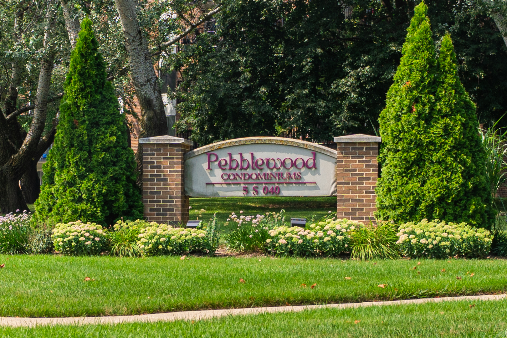 5S040 Pebblewood Lane Unit: W303
